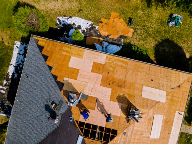 Best Metal Roofing Contractor  in Sheridan, AR